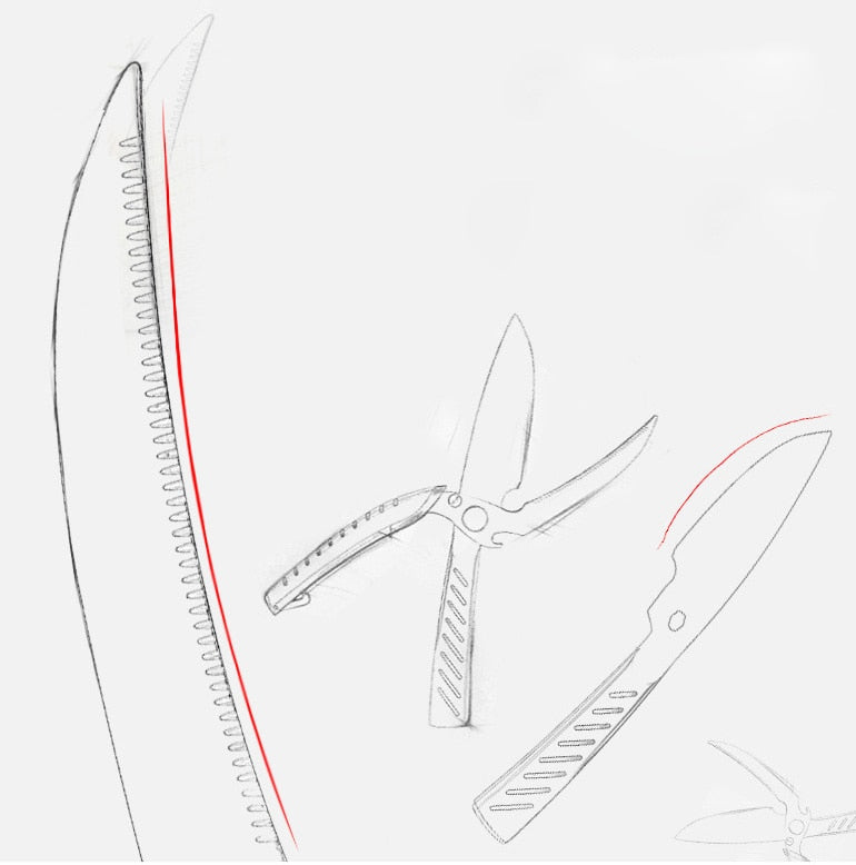 kitchen scissors