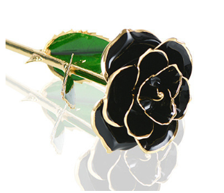 24K Gold Plated Rose