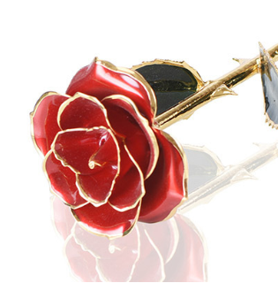 24K Gold Plated Rose