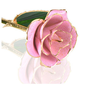 24K Gold Plated Rose